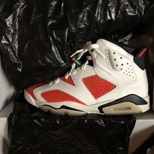 Jordan Gatorade 6s new